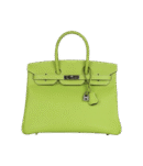 Hermès Birkin 35 Kiwi Candy Epsom Palladium Hardware