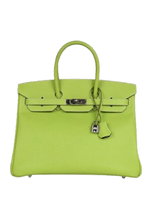 Hermès Birkin 35 Kiwi Candy Epsom Palladium Hardware