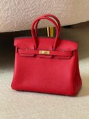 Hermès Birkin 25 bag in Red Togo Leather