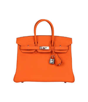 Hermès Birkin 25 Orange Minium Togo Palladium Hardware