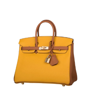 Hermès Birkin 25 Jaune Ambre and Gold Togo Permabrass Hardware