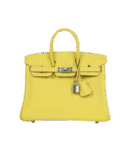 Hermès Birkin 25 Lime Swift Palladium Hardware