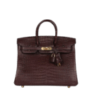 Hermès Birkin 25 Rouge Sellier Matte Porosus Crocodile Gold Hardware