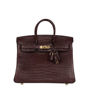 Hermès Birkin 25 Rouge Sellier Matte Porosus Crocodile Gold Hardware