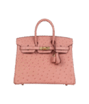 Hermès Birkin 25 Terre Cuite Ostrich Gold Hardware