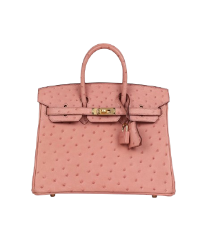 Hermès Birkin 25 Terre Cuite Ostrich Gold Hardware