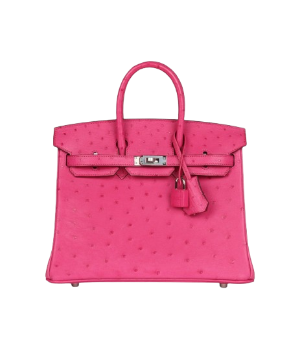 Hermès Birkin 25 Rose Tyrien Ostrich Palladium Hardware