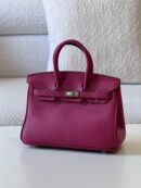 Birkin 25 Multicolor Swift Palladium Hardware