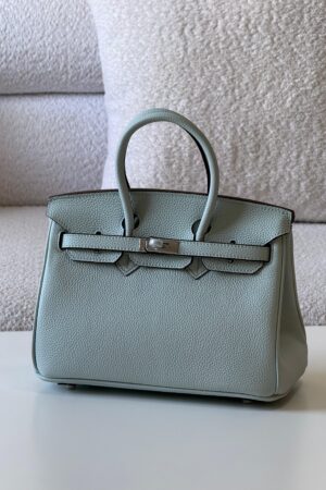 Hermès Birkin 25 bag in Togo Leather with Palladium Hardware